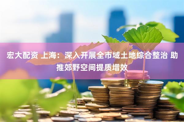 宏大配资 上海：深入开展全市域土地综合整治 助推郊野空间提质增效