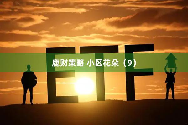 鹿财策略 小区花朵（9）