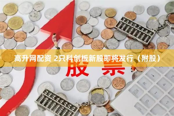 高升网配资 2只科创板新股即将发行（附股）