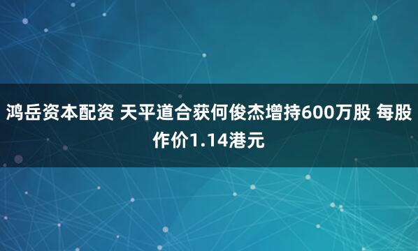 鸿岳资本配资 天平道合获何俊杰增持600万股 每股作价1.14港元