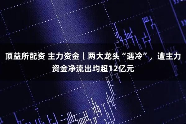顶益所配资 主力资金丨两大龙头“遇冷”，遭主力资金净流出均超12亿元